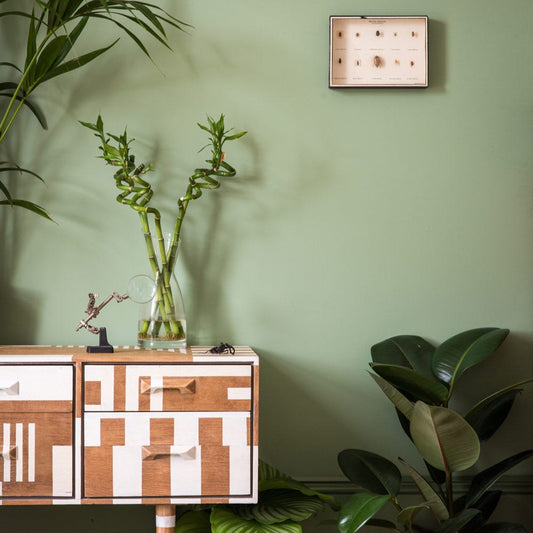 Intérieur peint avec Farrow & ball breakfast room green, vert lumineux