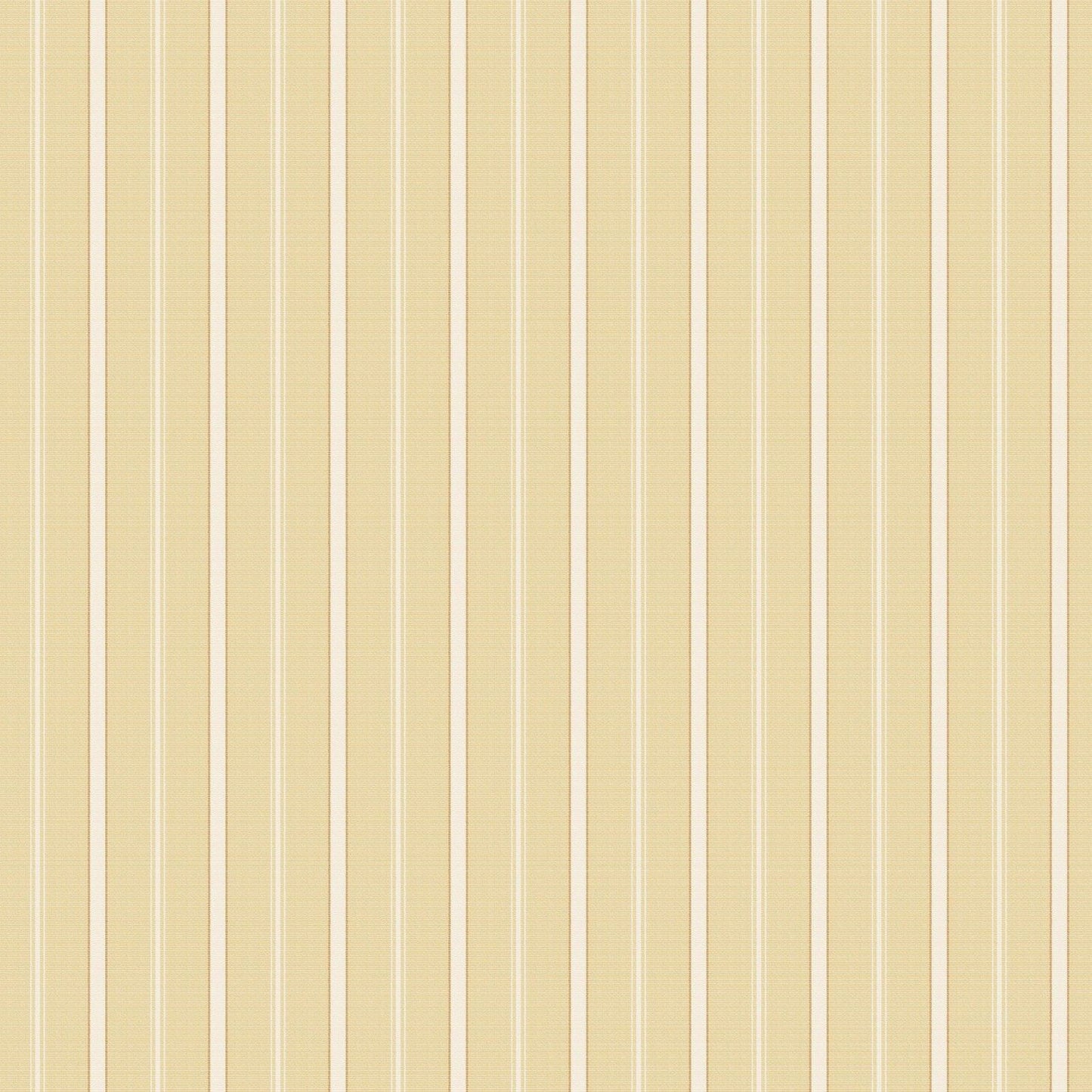 Papier peint Quenin Rayure Mademoiselle