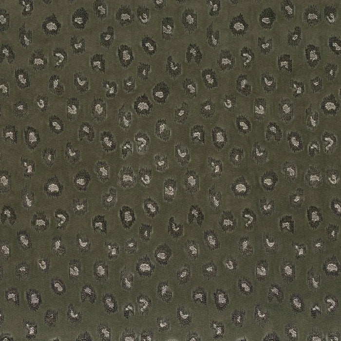 Zoom sur le tissu DAIM – velours tricot brodé avec un fil de viscose