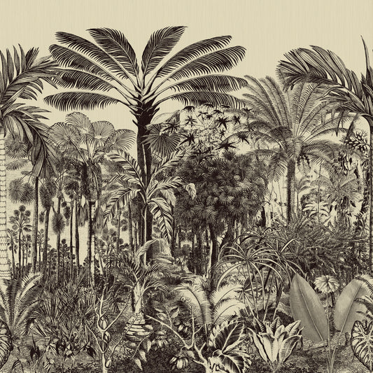 Vallée de Viñale Arte | Panoramique