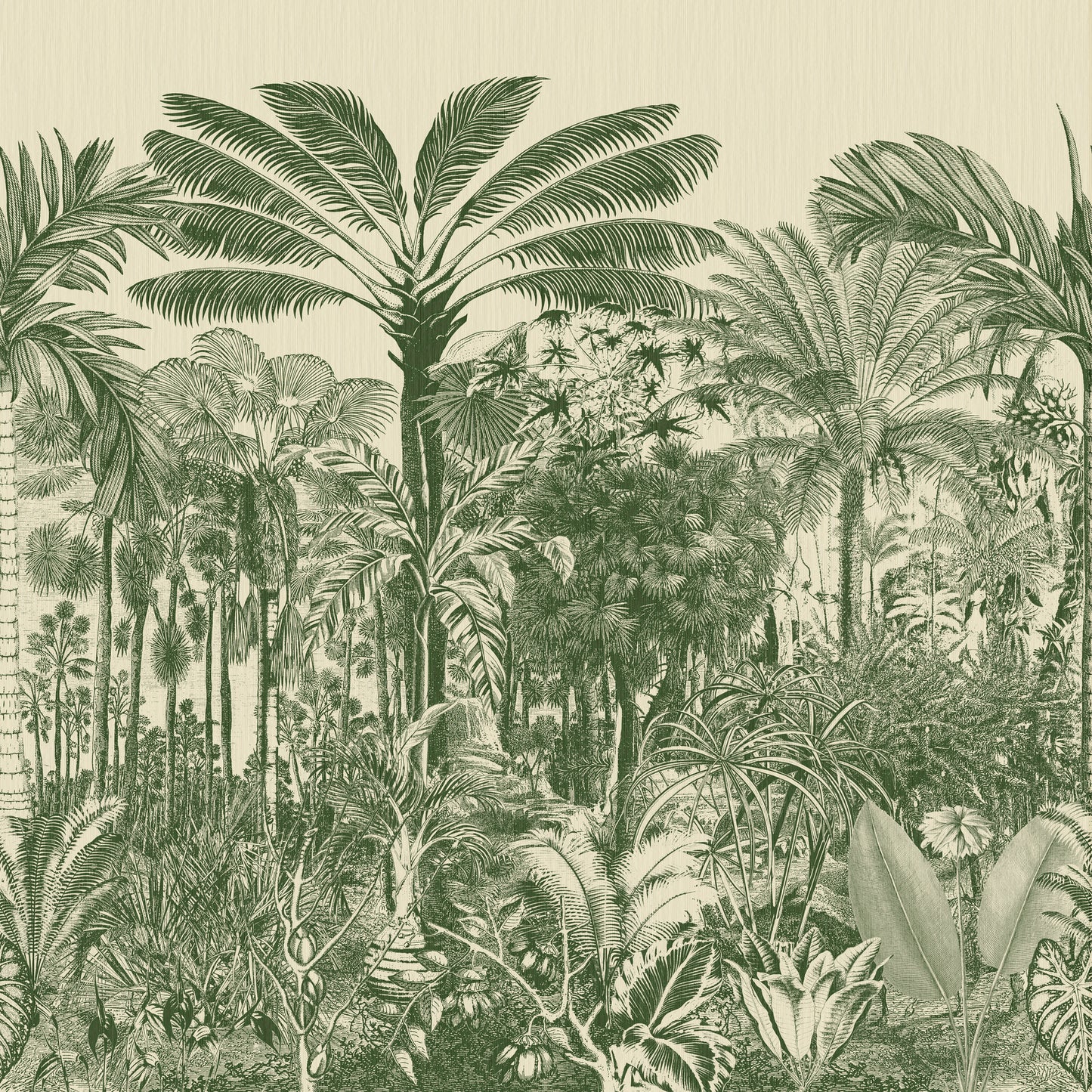 Vallée de Viñale Arte | Panoramique