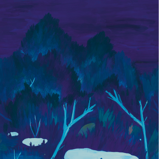 Adryades Nobilis | Panoramique