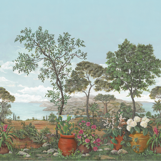 Baobab Nobilis | Panoramique