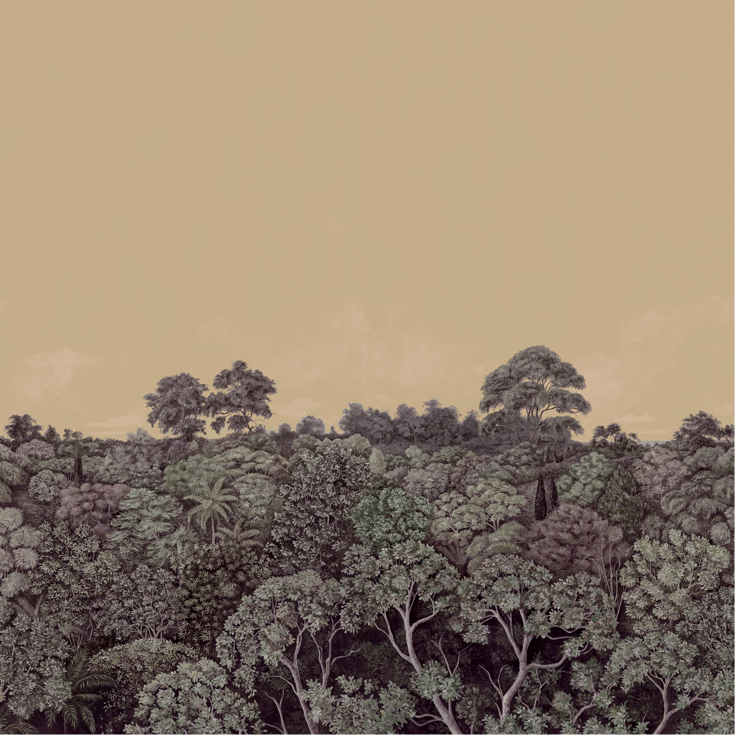 Canopy 1 Nobilis | Panoramique