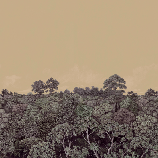 Canopy 1 Nobilis | Panoramique