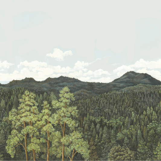 Canopy 2 Nobilis | Panoramique