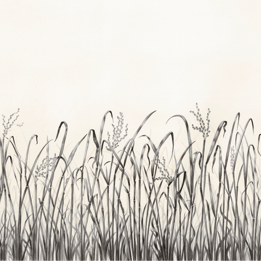 Hors Champs Nobilis | Panoramique