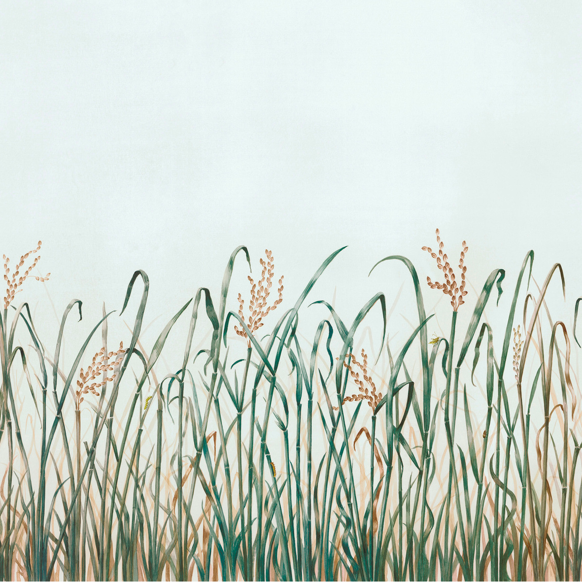 Hors Champs Nobilis | Panoramique