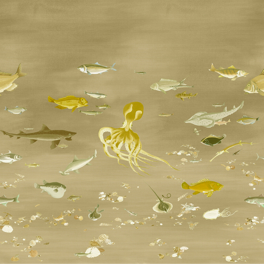 Ito Nobilis | Panoramique