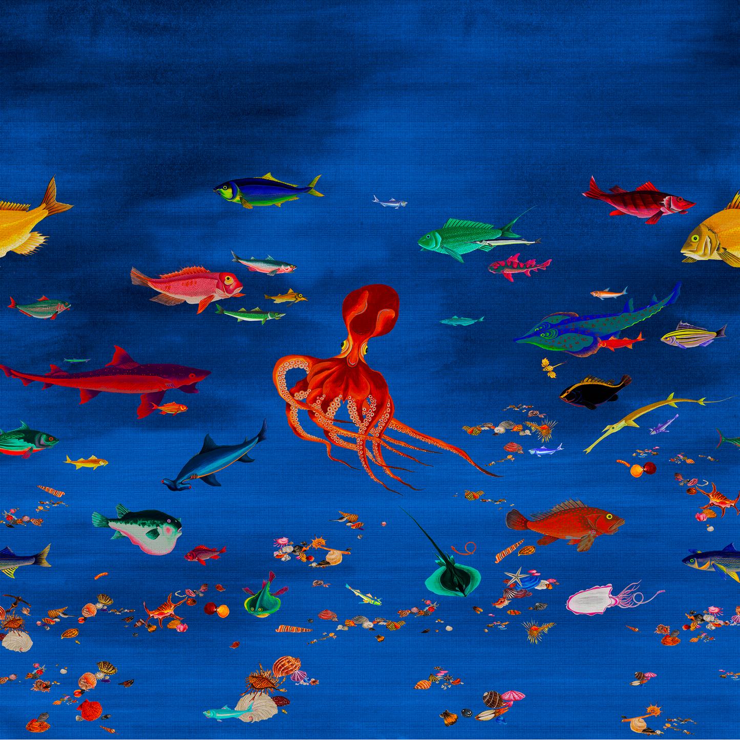 Ito Nobilis | Panoramique