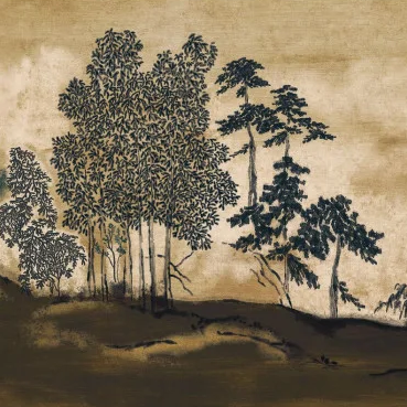 Vue d'ensemble panoramique Koraku Casamance, jardin japonais sur base dorée