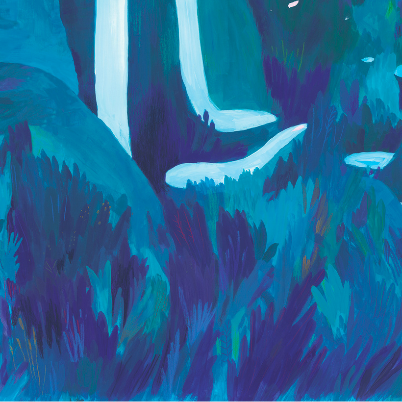 Les Cascades Nobilis | Panoramique