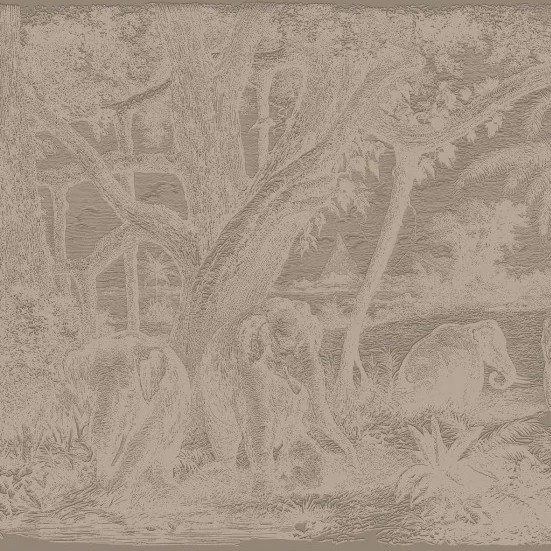 vue d'ensemble panoramique casamance maximus elephant relief brun tabac