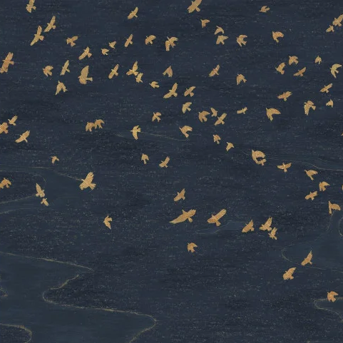 Vue d'ensemble panoramique Migration Casamance, décor aux oiseaux migrateurs, bleu dorée