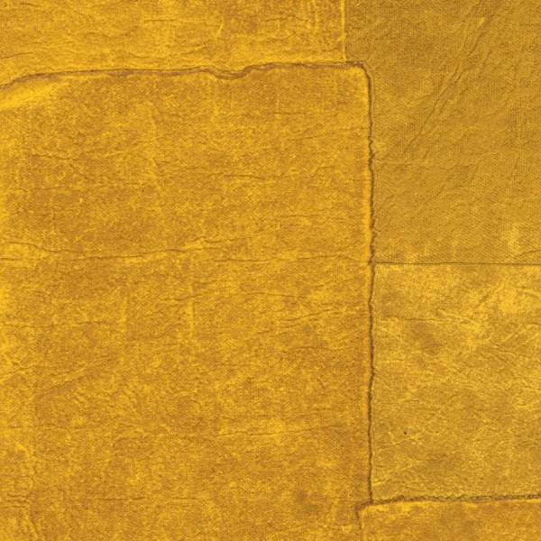 <img src="elitis-sangpi-detail.jpg" alt="Détail du papier peint Elitis Sangpi – élégance raffinée" />