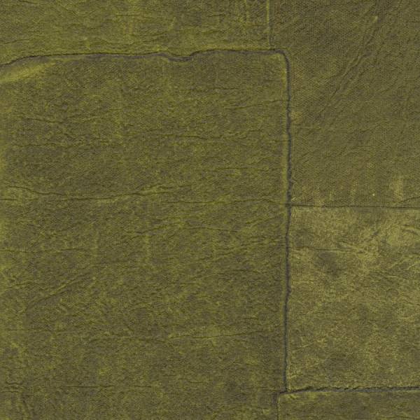 <img src="elitis-sangpi-detail.jpg" alt="Détail du papier peint Elitis Sangpi – élégance raffinée" />