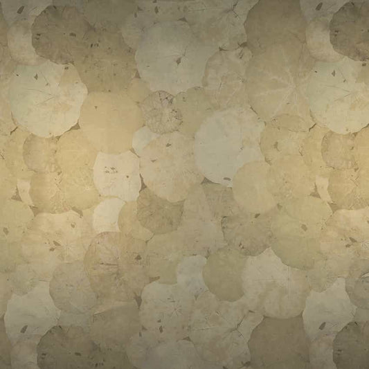 Nympheas Nobilis | Revêtement mural