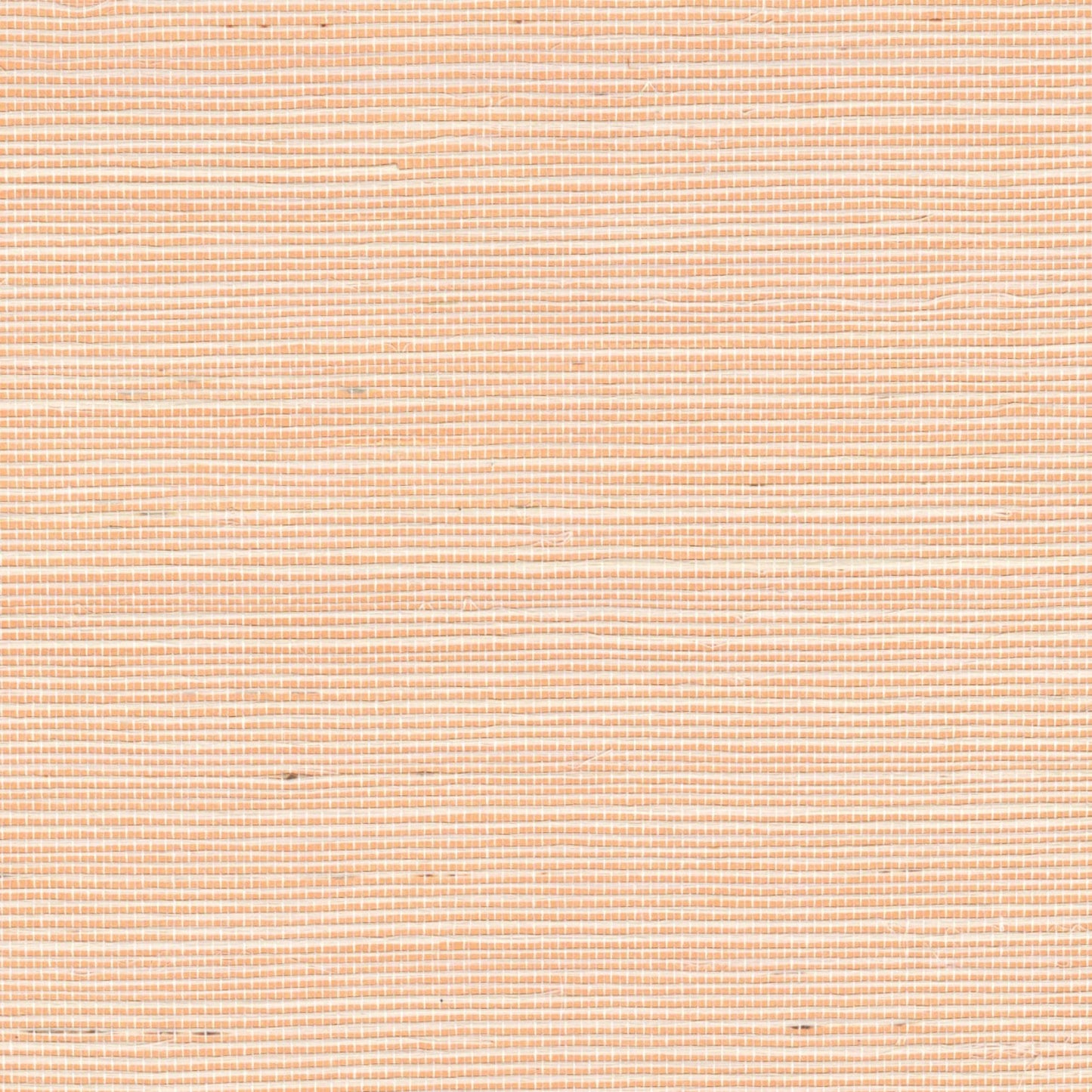 Revêtement mural Elitis Sisal métallique