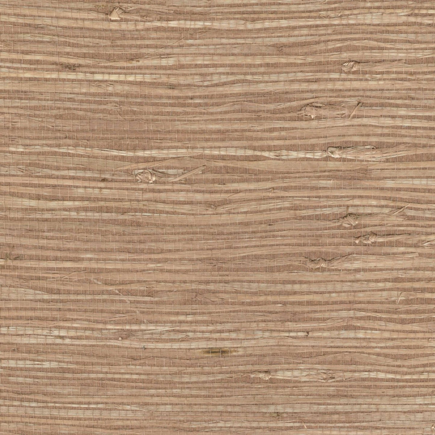 <img src="elitis-grasscloth-detail.jpg" alt="Détail du revêtement mural Elitis Grasscloth – matières naturelles et finition subtile" />