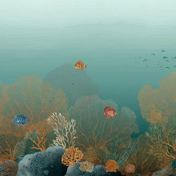 Vue d'ensemble panoramique Polynésie Casamance, décor sous-marin coloré et vivant turquoise