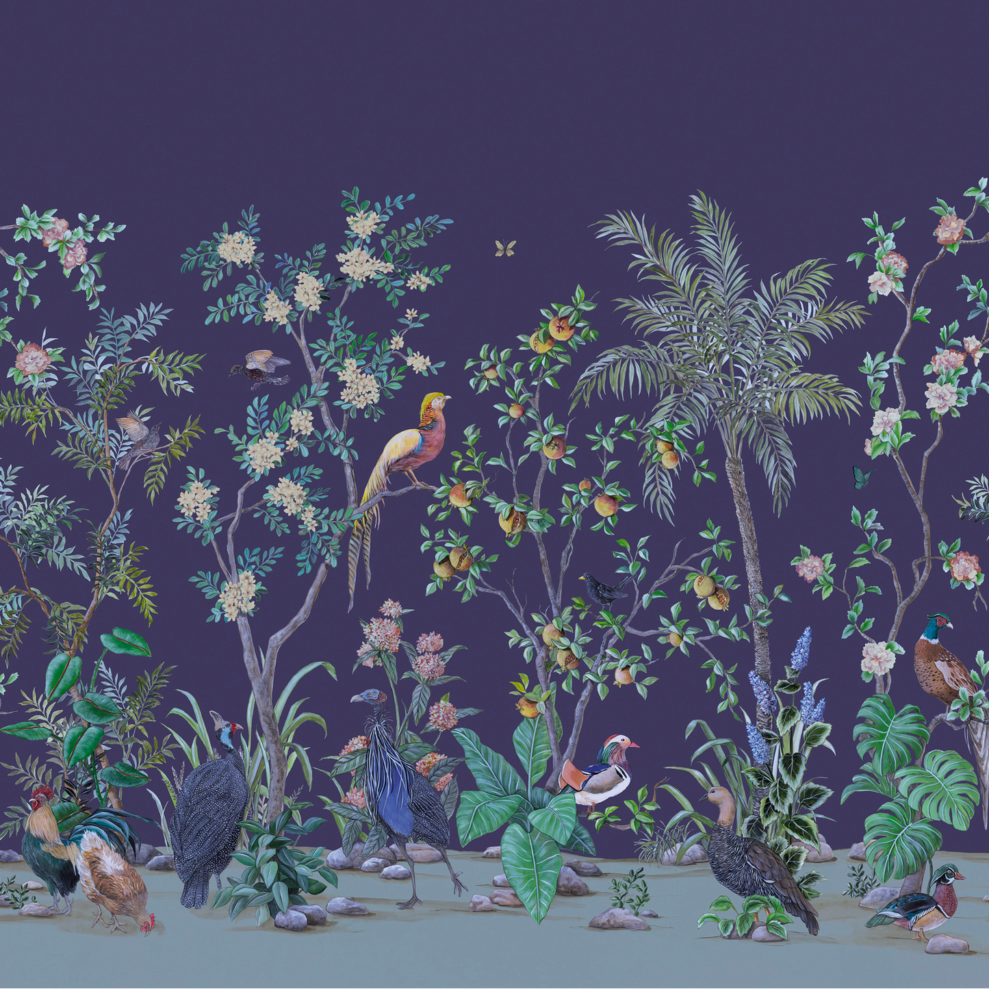 Pomegranate Nobilis | Panoramique