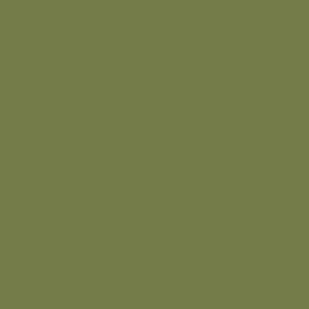 Peinture Farrow & Ball Sap Green, vert olive chaud et rétro
