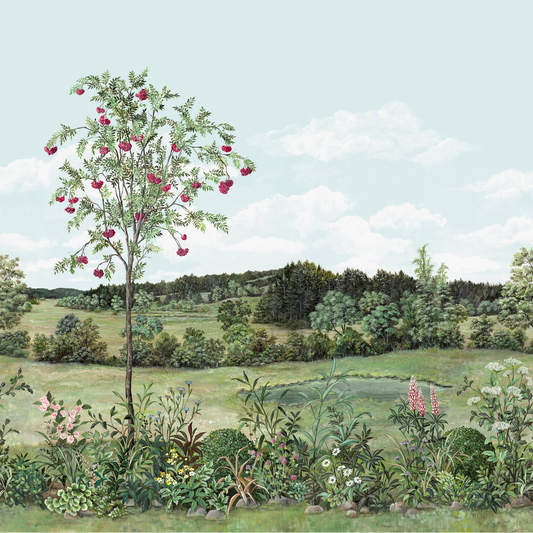 Sorbier des Oiseaux Nobilis | Panoramique