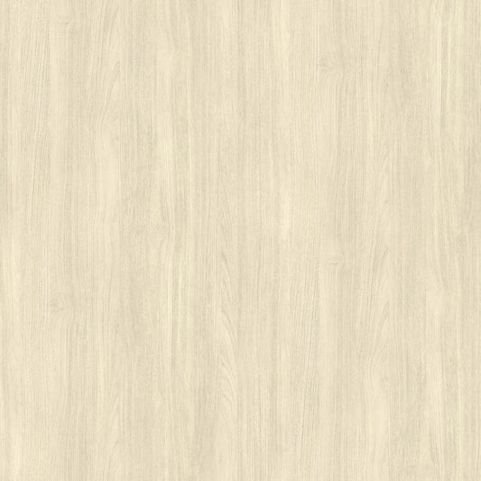 Teck Blanc Nobilis | Revêtement mural