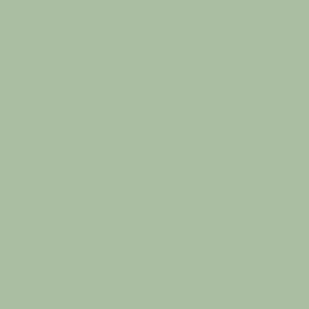 Peinture Farrow & Ball Whirlybird, vert frais et naturel