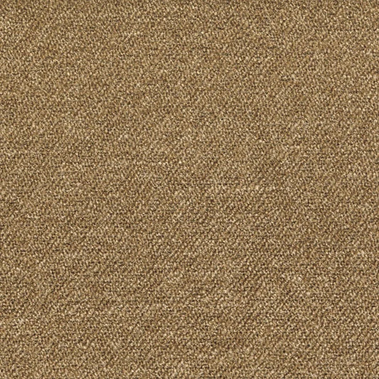 Palette de coloris disponibles pour le tissu Abruzzes – texture bouclette et élasticité