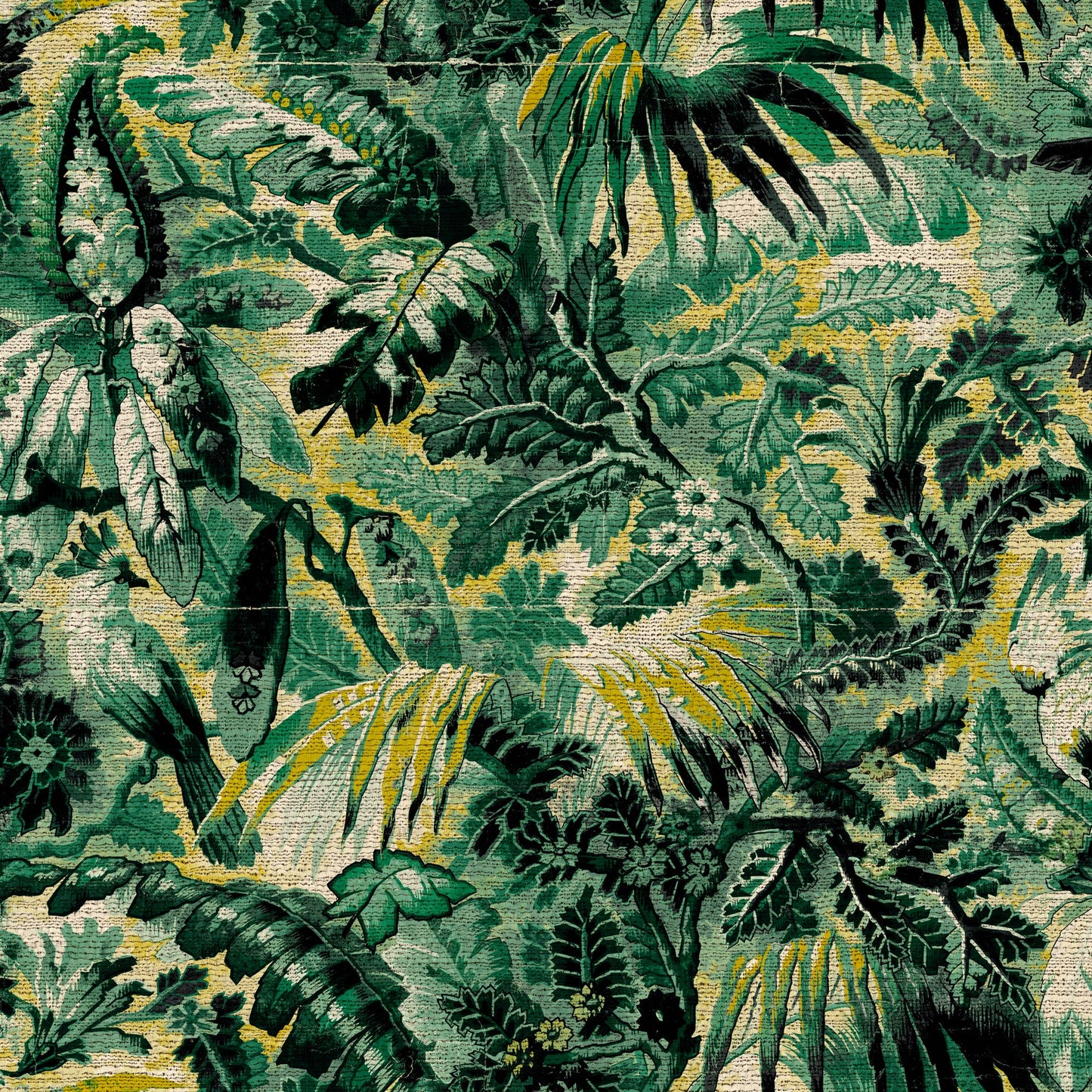 Tropicali Arte | Revêtement mural