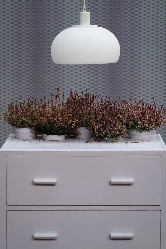 Peinture Farrow & Ball Calluna No.270 lilas apaisant
