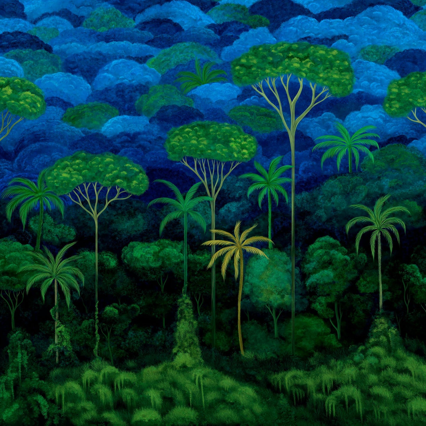 Ciel Tropical Arte | Panoramique