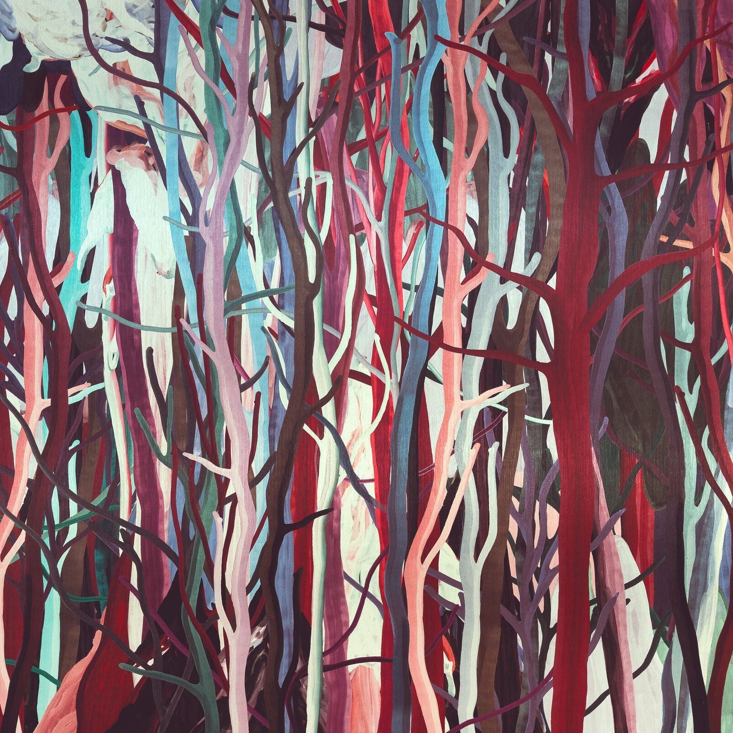 Mangrove Arte | Panoramique