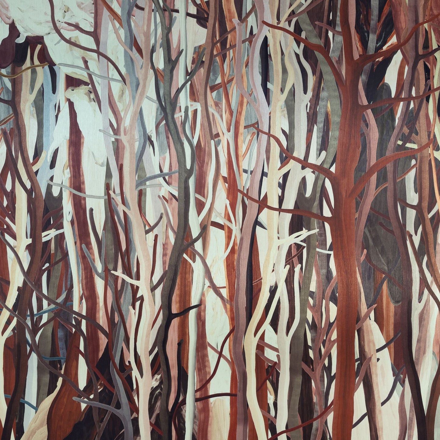 Mangrove Arte | Panoramique