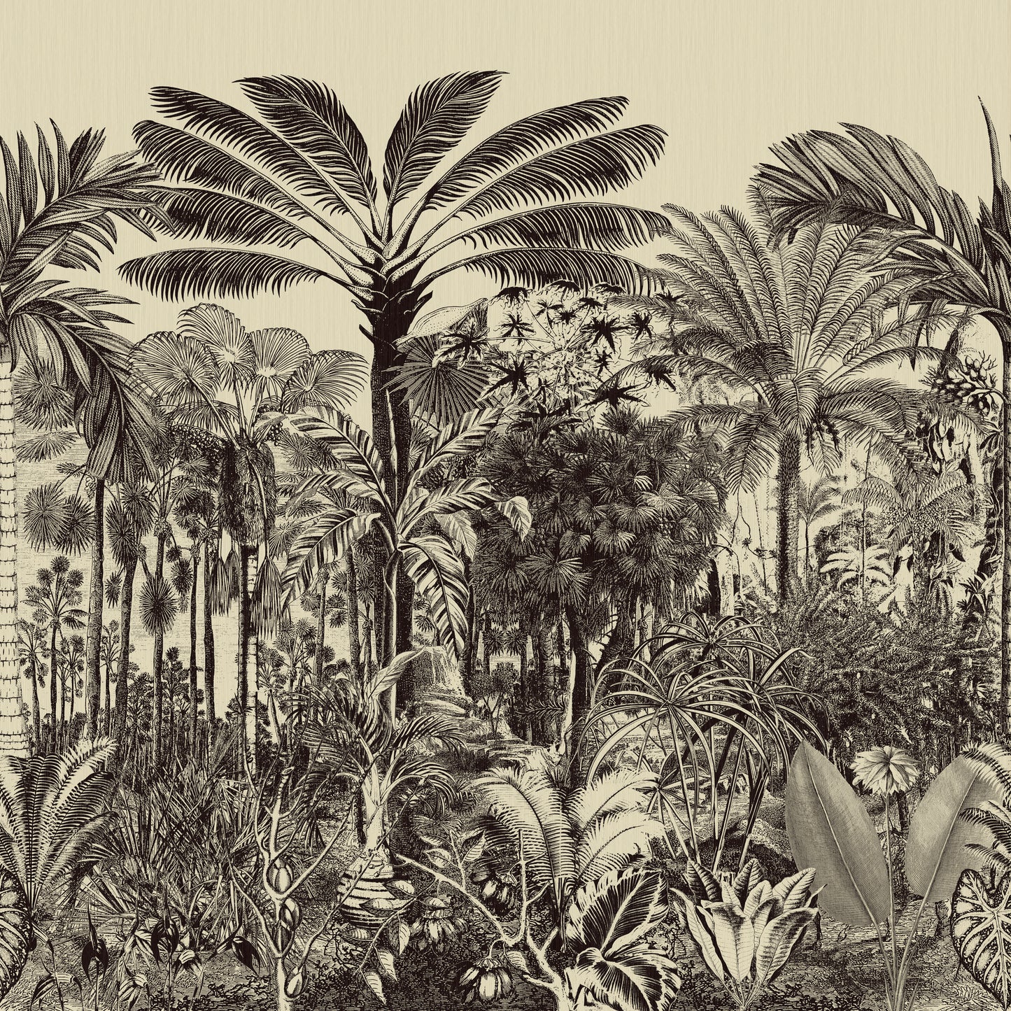 Vallée de Viñale Arte | Panoramique