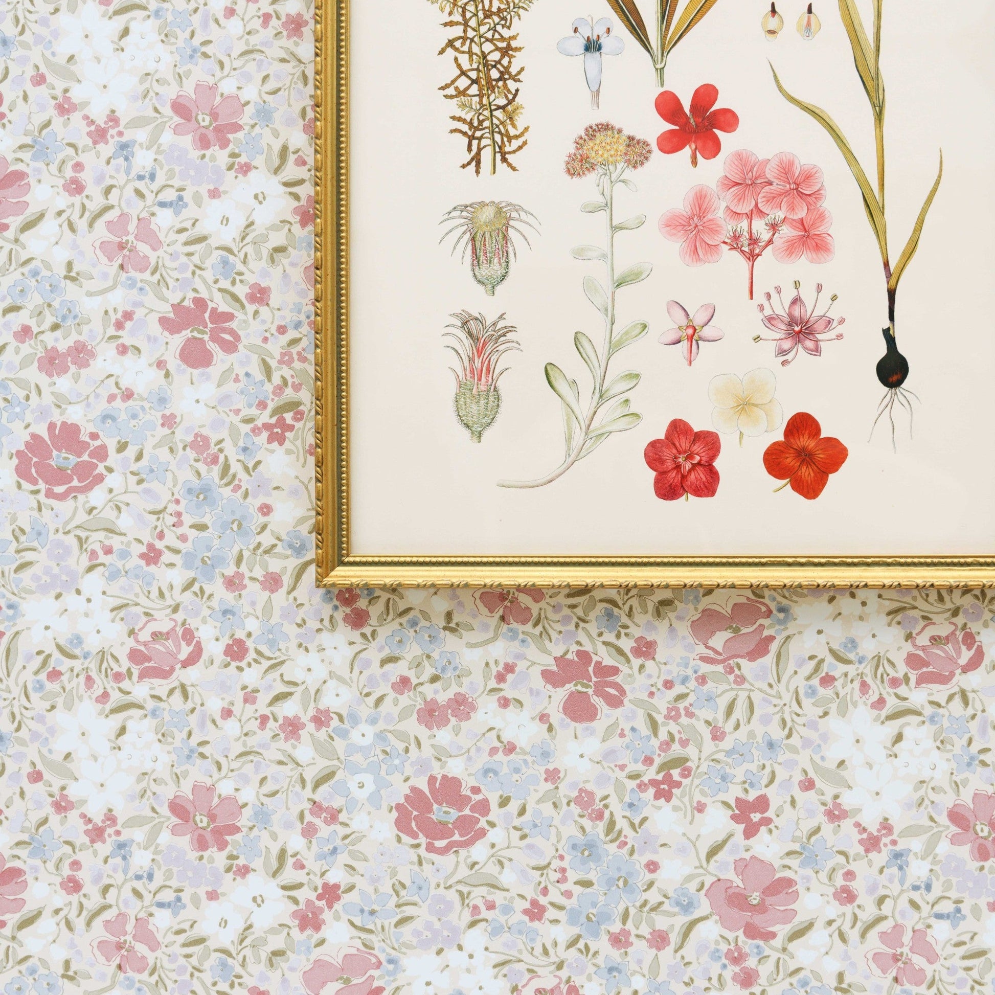 Papier peint FLEURETTES aquarelle floral Quenin