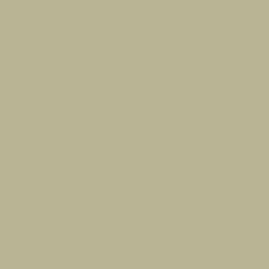 Peinture Farrow & Ball Ball Green, vert argenté classique