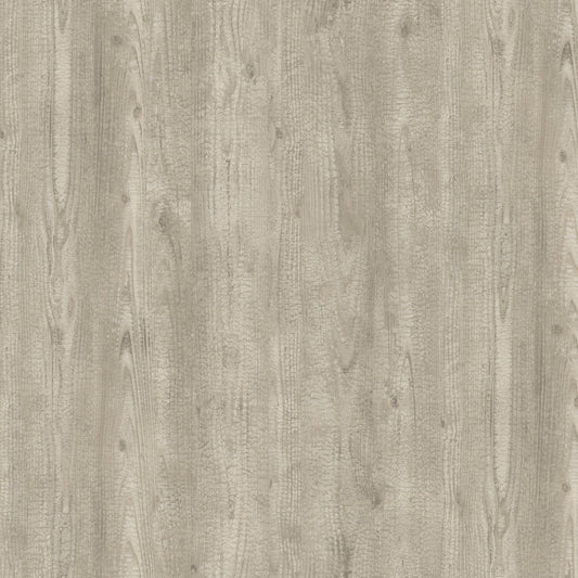 Revêtement mural Nobilis Bois Brulé Gris Argenté