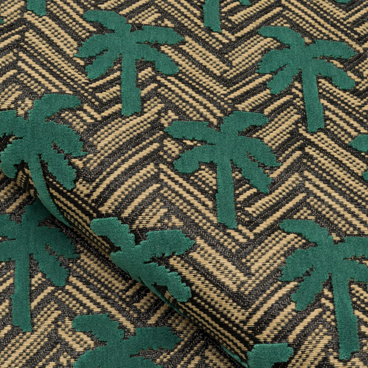 Tissu Nobilis Borneo