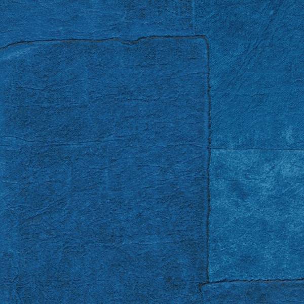<img src="elitis-sangpi-detail.jpg" alt="Détail du papier peint Elitis Sangpi – élégance raffinée" />