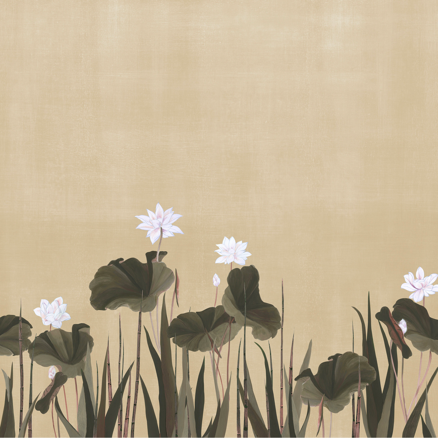 Naiades Nobilis | Panoramique