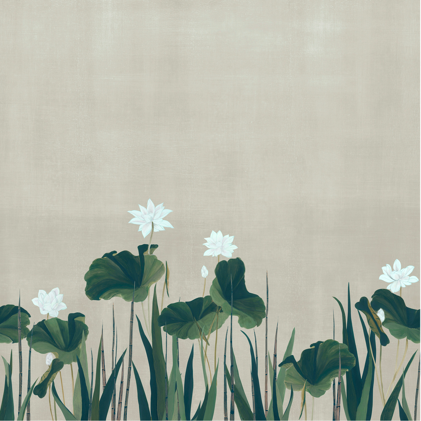 Naiades Nobilis | Panoramique