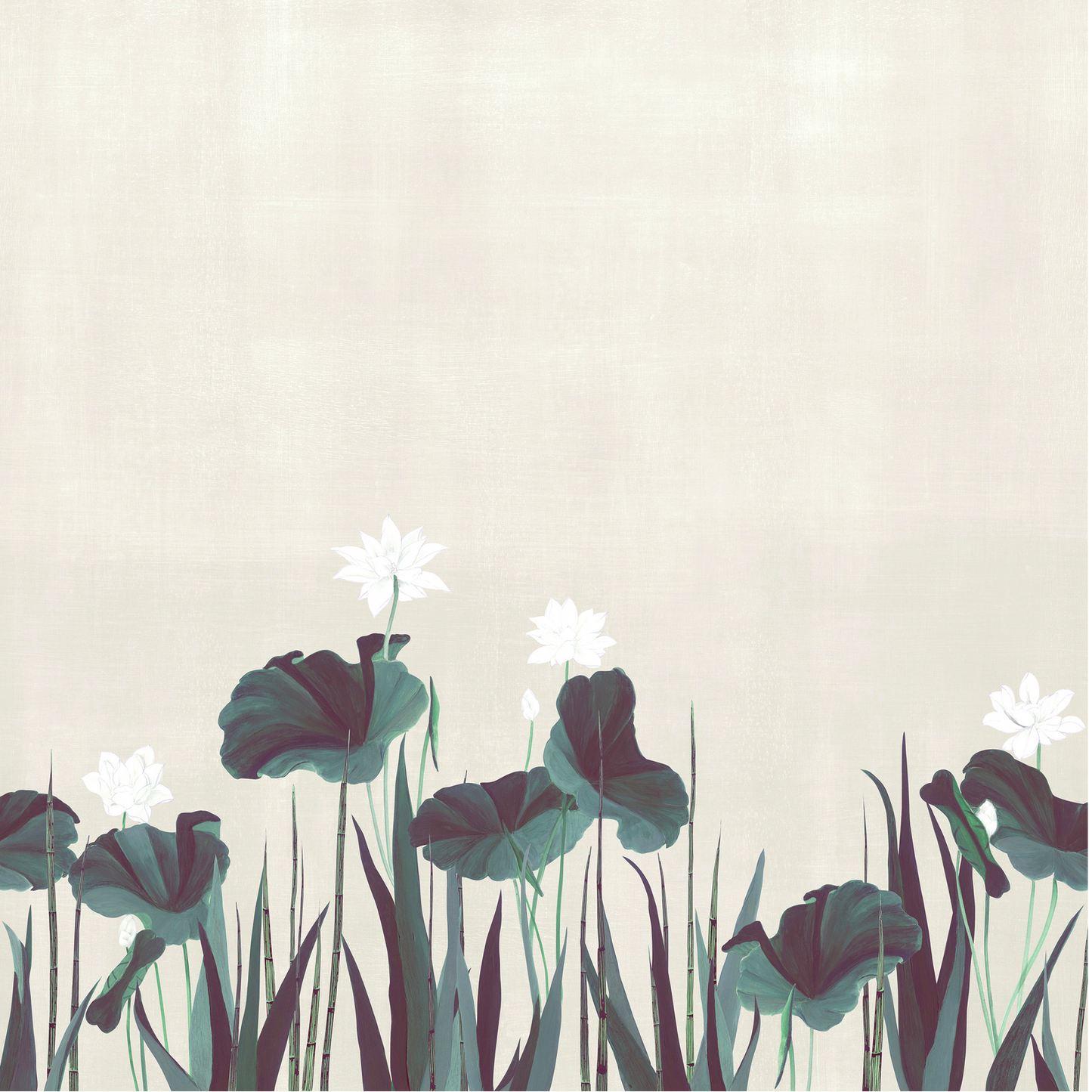 Naiades Nobilis | Panoramique