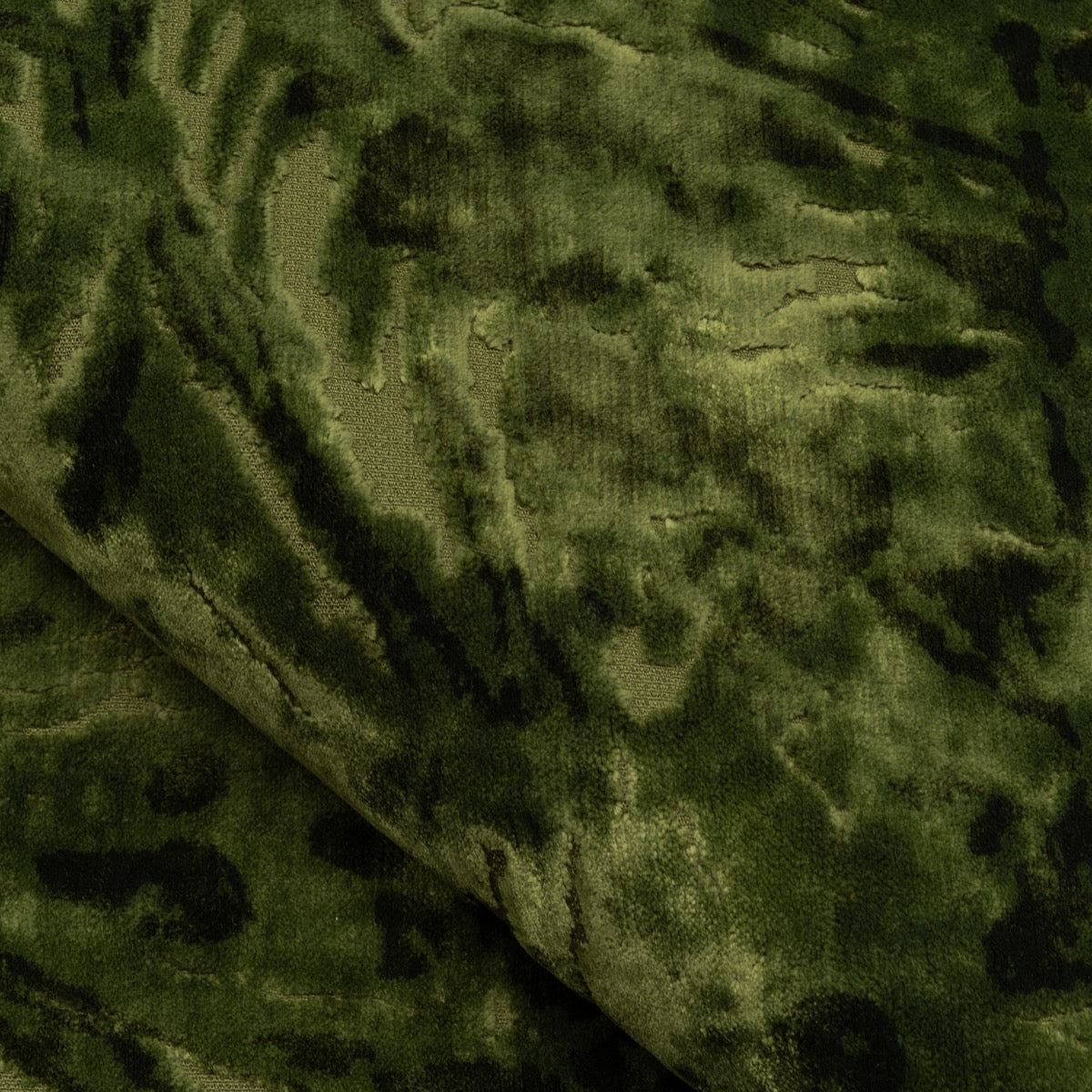 Nobilis Velours Orme