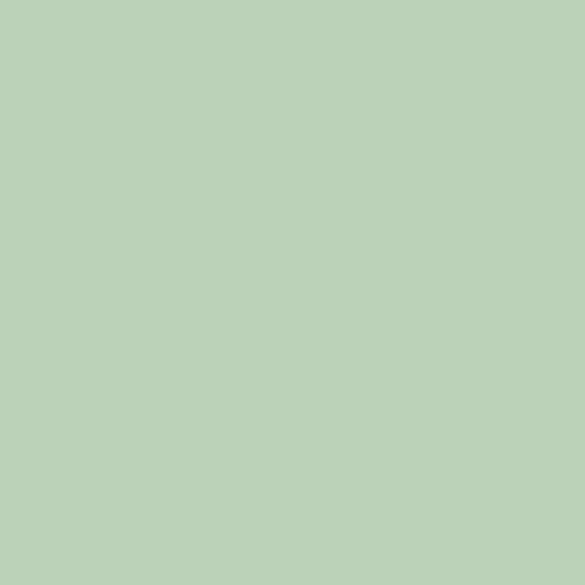 Peinture Little Shop of Colors Pale Jade
