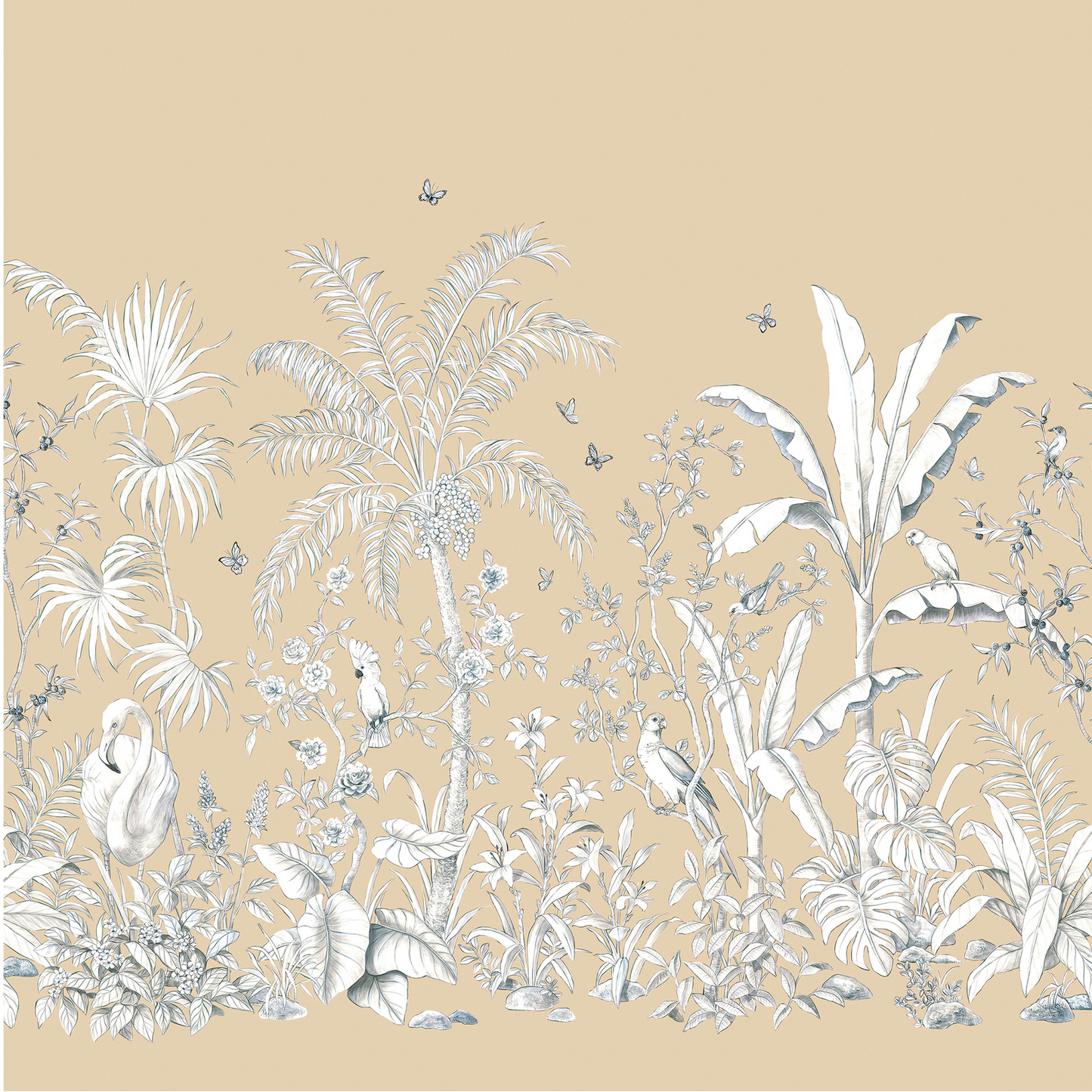 Papillons Nobilis | Panoramique