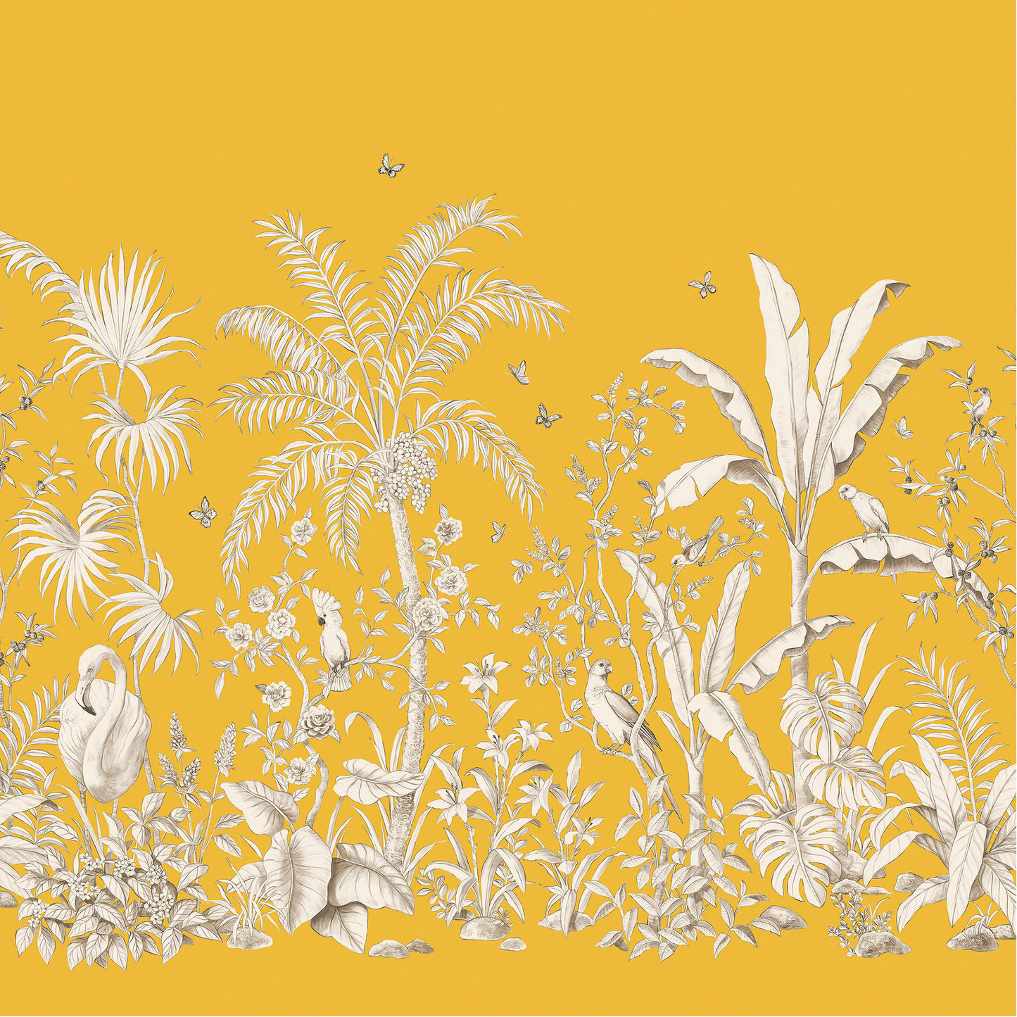 Papillons Nobilis | Panoramique