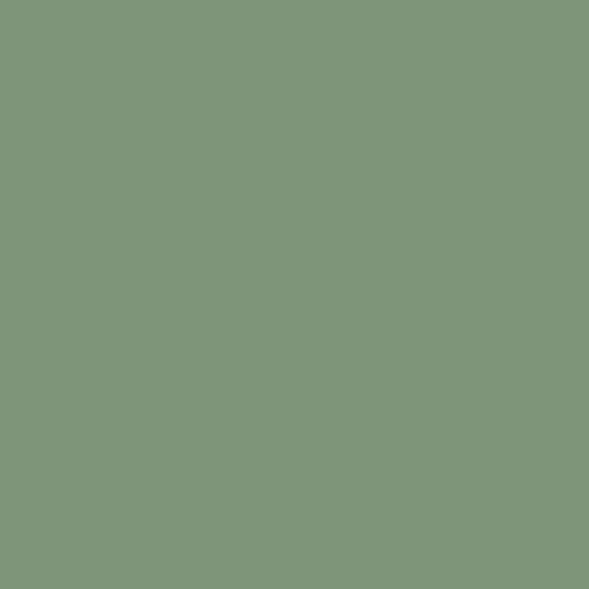 Peinture Little Shop of Colors Soft Fern