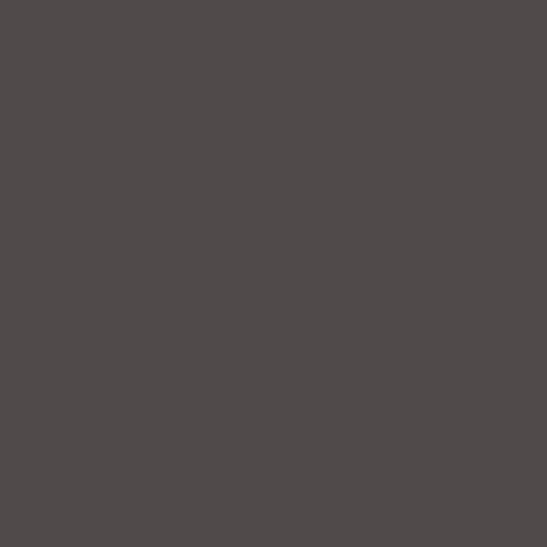 Tanners Brown No.255
